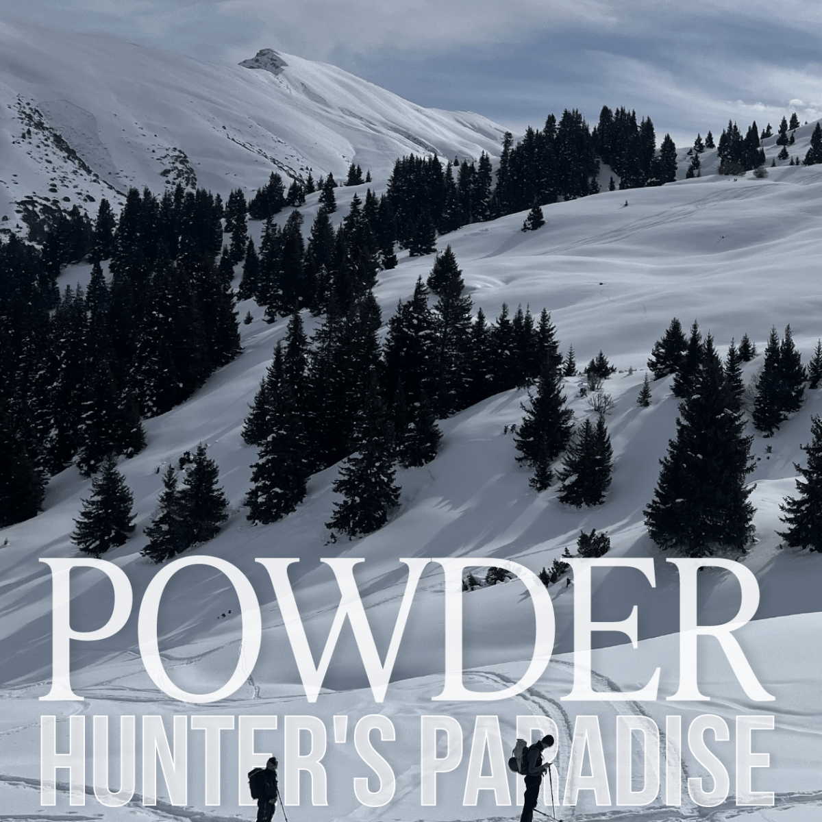 Powder Hunter’s Paradise
